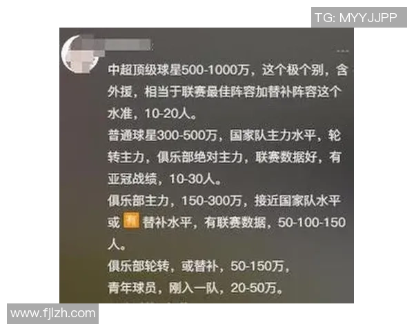 国内足球明星年薪揭秘各大俱乐部薪资差异与球员收入分析
