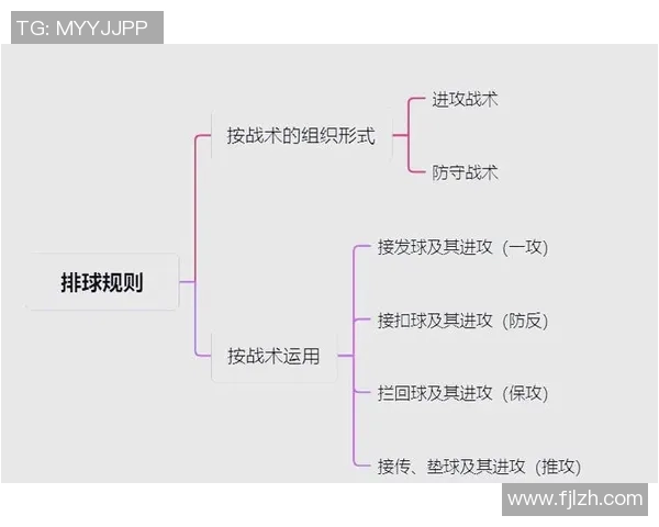 杭州排球队的个人能力揭秘与排球技巧的深度分析