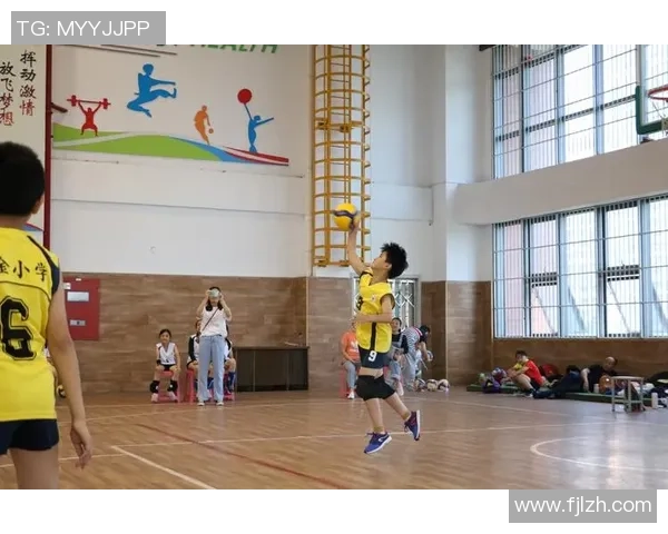 南京排球队的成长之路：城市联赛中的拼搏与梦想